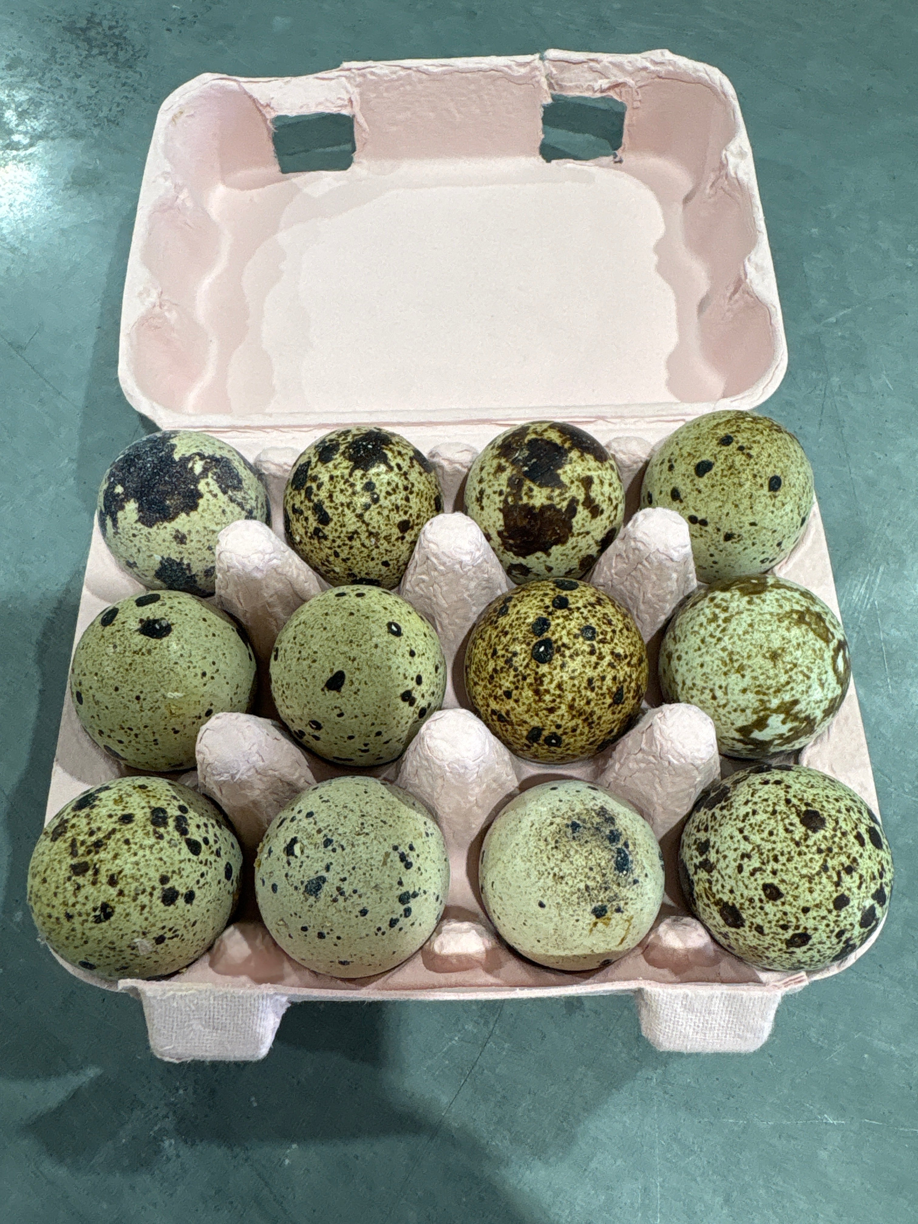 Quail eggs one dozen
